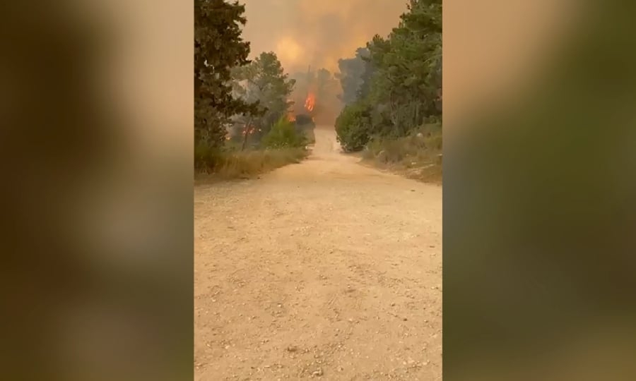 Inferno in Israel: Wildfires force evacuations, highway shutdown