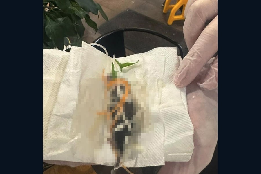 Pregnant woman claims dead rat found in salad at Sydney restaurant