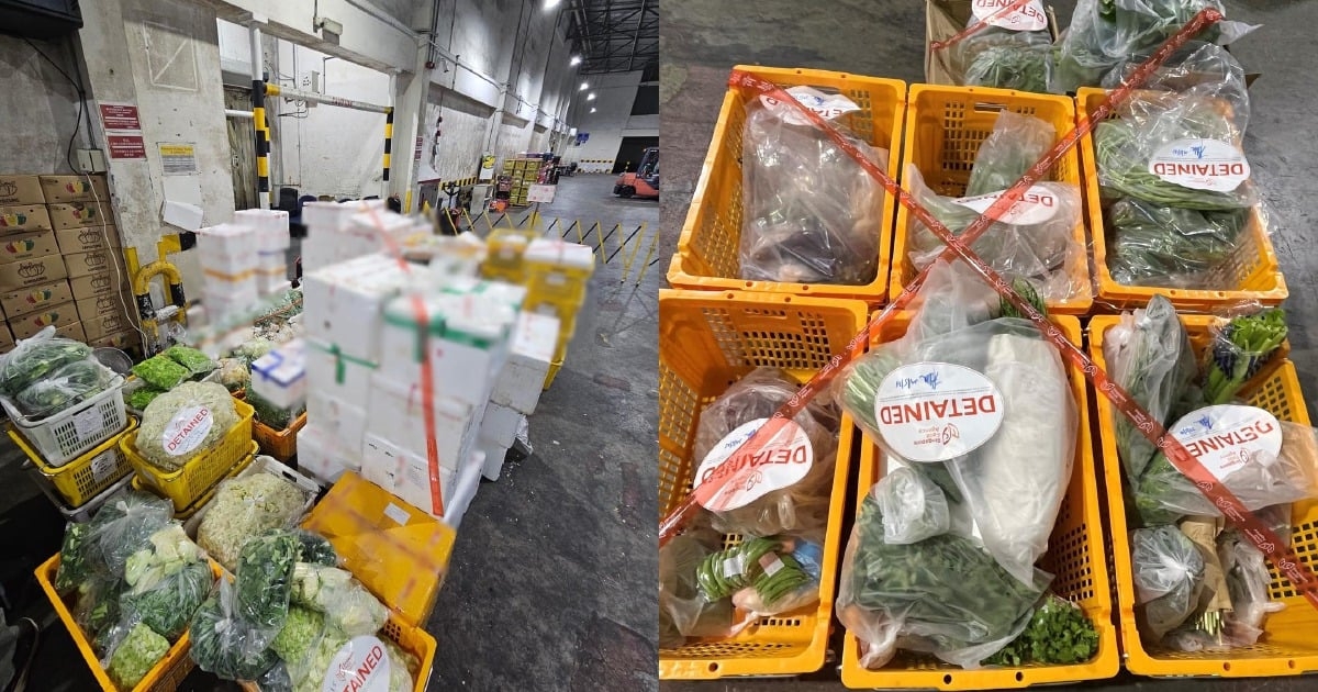 Singapore seizes 1.2 tonnes of smuggled Malaysian produce