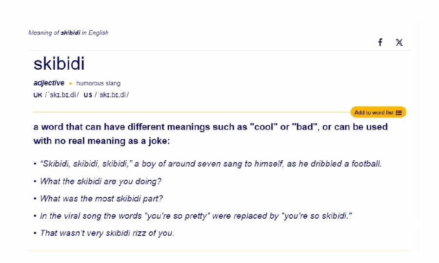 Gen Z and Gen Alpha slang like 'delulu' and 'skibidi' now in Cambridge Dictionary