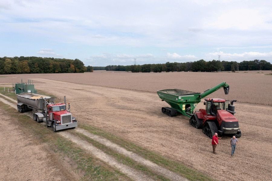 Soybeans rise on oil rally, still on track for weekly loss