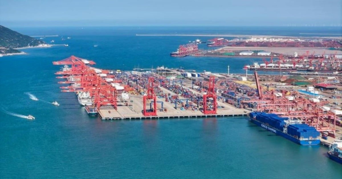 World's first zero-carbon port eyes Southeast Asia expansion, targets 3.2mil TEUs in 2025