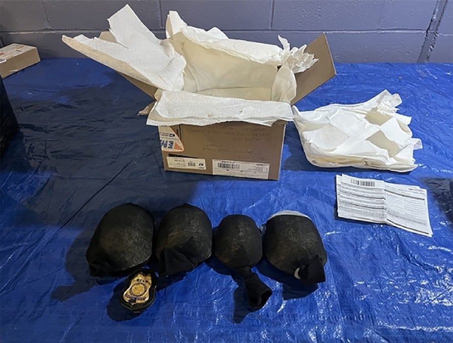 Chinese man in US admits to smuggling US$1.4mil worth of protected turtles