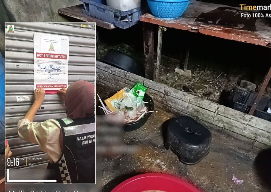 7 Batang Kali eateries closed over cockroaches, rat droppings, other unhygienic conditions