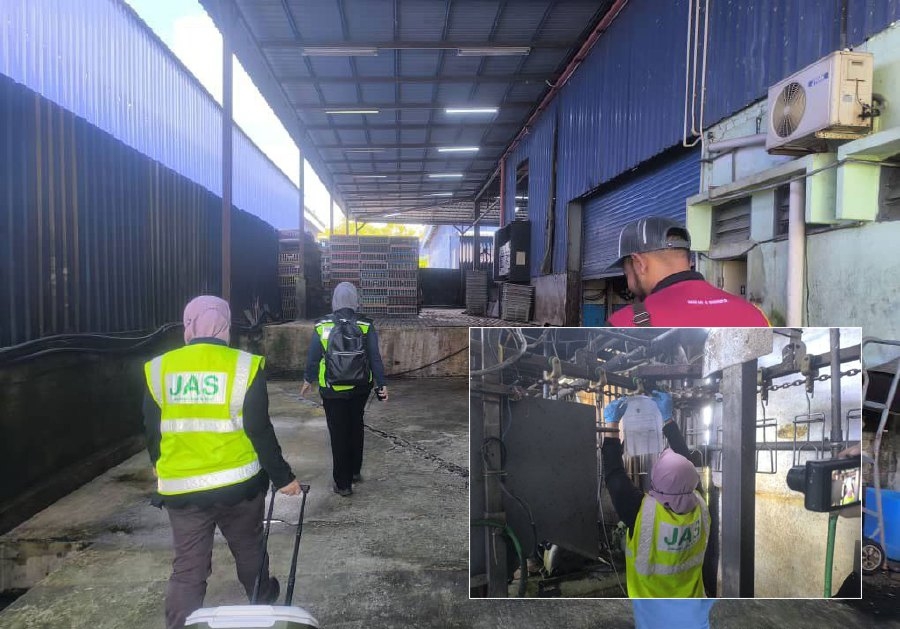 Another Kulim poultry plant to close over wastewater pollution