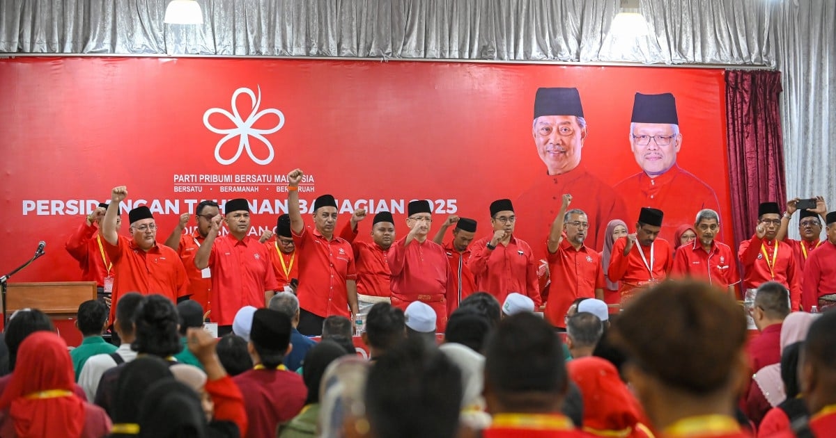Pahang Bersatu claims growing interest from non-Malays in associate wing