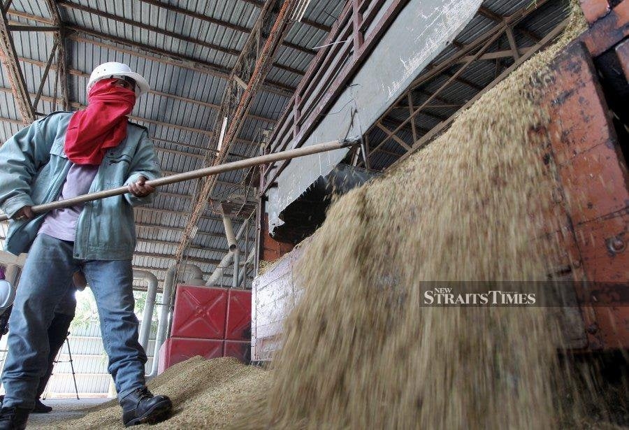 Bernas revises down price of imported white rice by RM200 to RM2,600 per tonne