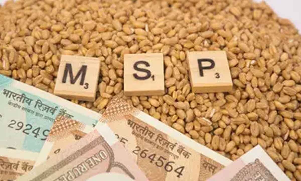 UP govt purchasing maize directly from farmers at MSP