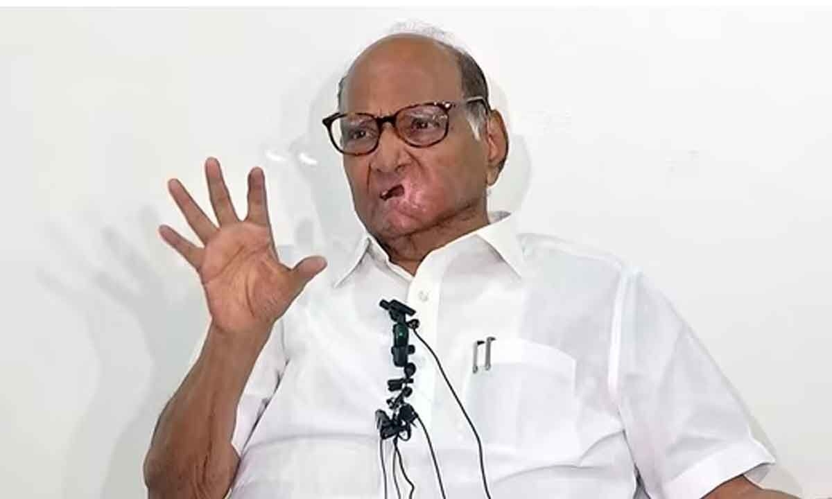 Don't worry about split, focus on revival of NCP-SP: Sharad Pawar tells party workers