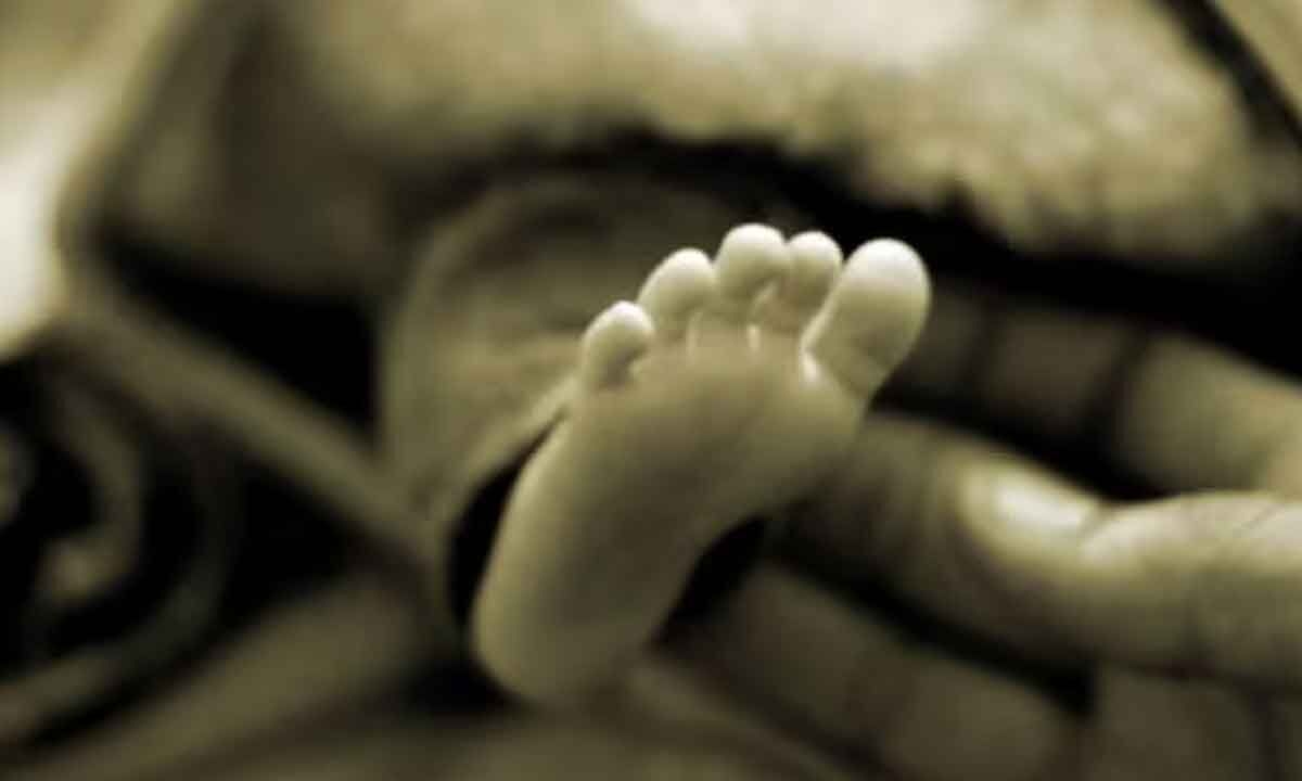 Newborn found abandoned inside bag in train