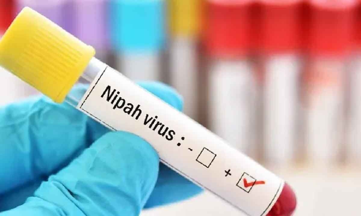 Kerala: 32-year-old man tests positive for Nipah