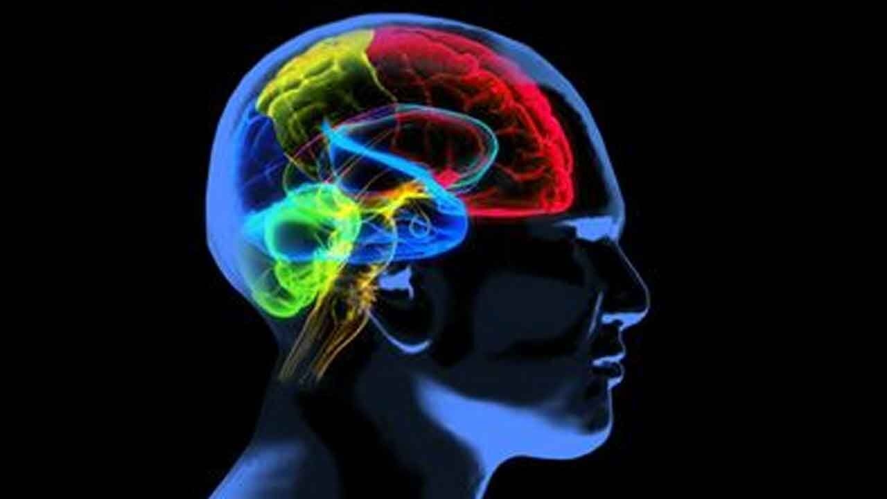 Study explains why loss of smell is associated with Alzheimer's disease