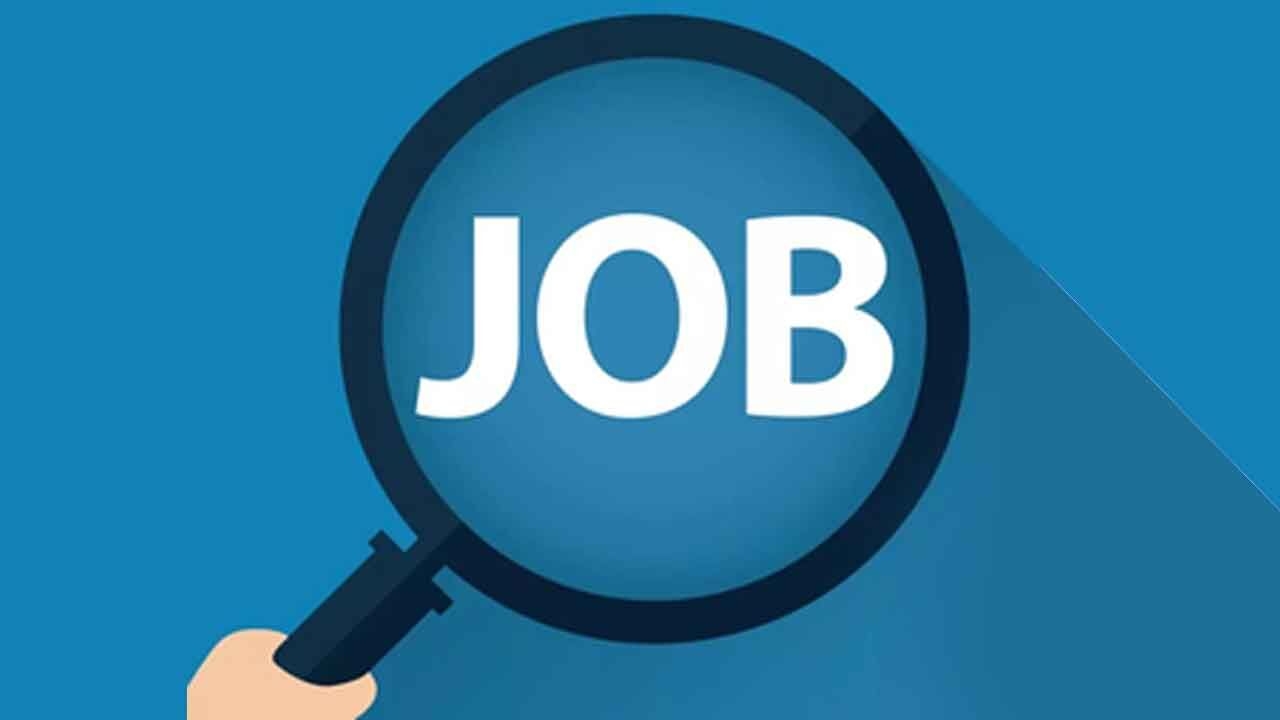 70 pc of E-com, tech startups intend to hire freshers in India with AI in mind: Report
