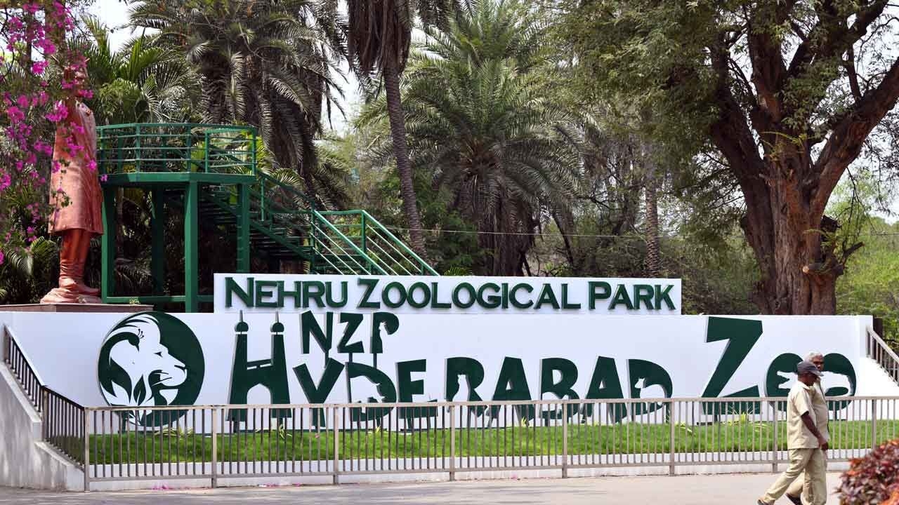 Hyderabad: Zoo invites kids for summer camp