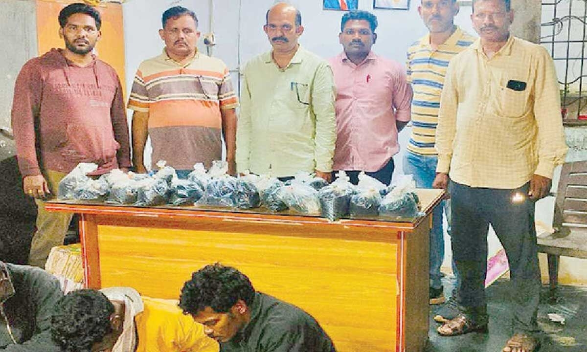 STF arrests 3, seizes 23 kg hashish oil