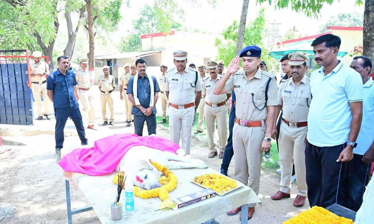 Last salute to Police sniffer Tara (Dog)