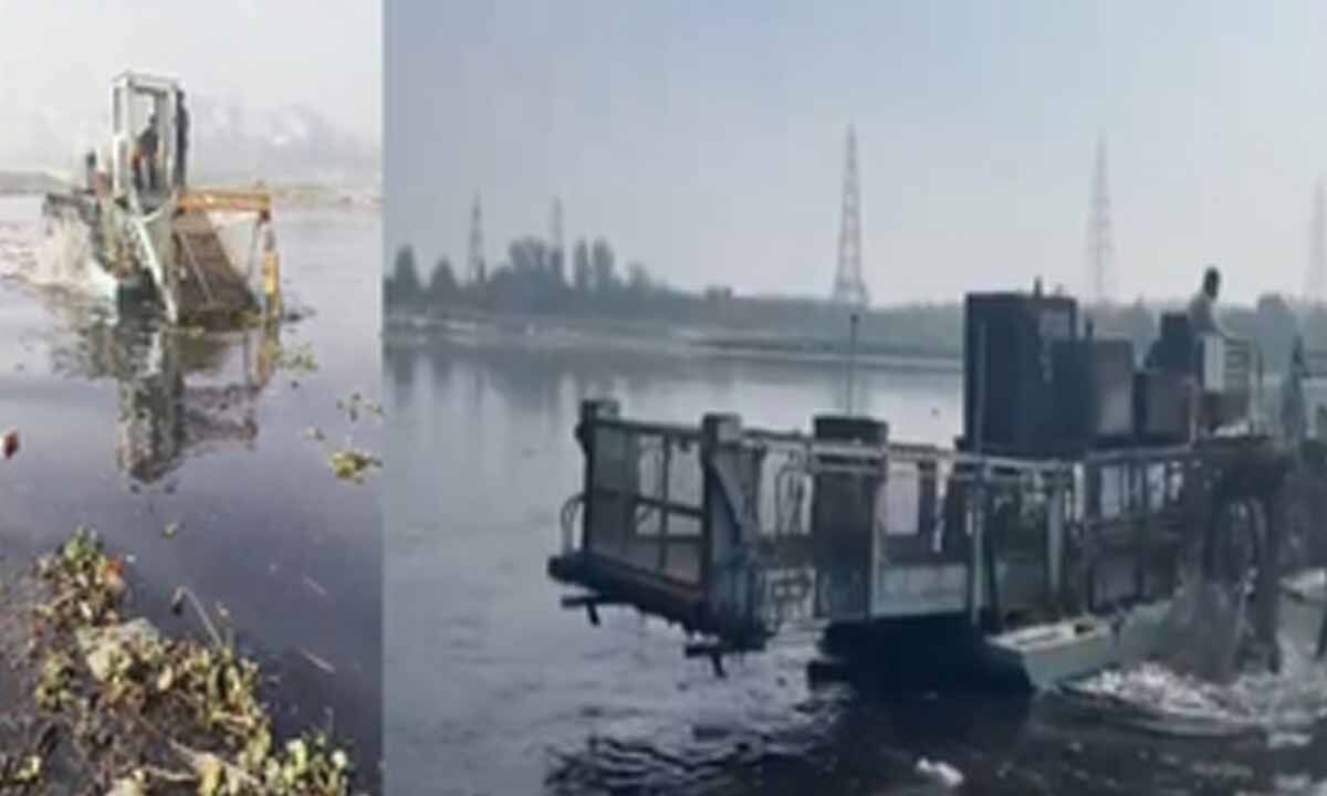 Delhi to get urban river management plan for Yamuna's revival