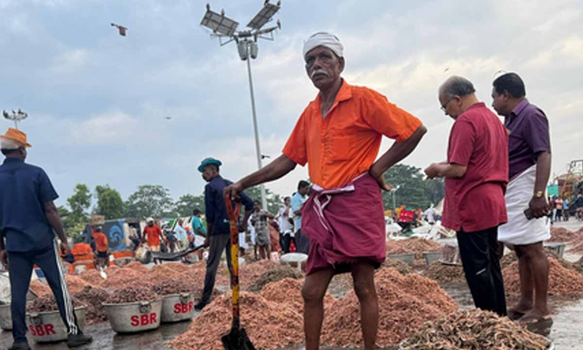 ‘Coastal States Meet 2025': Fisheries projects worth Rs 255 crore to be unveiled
