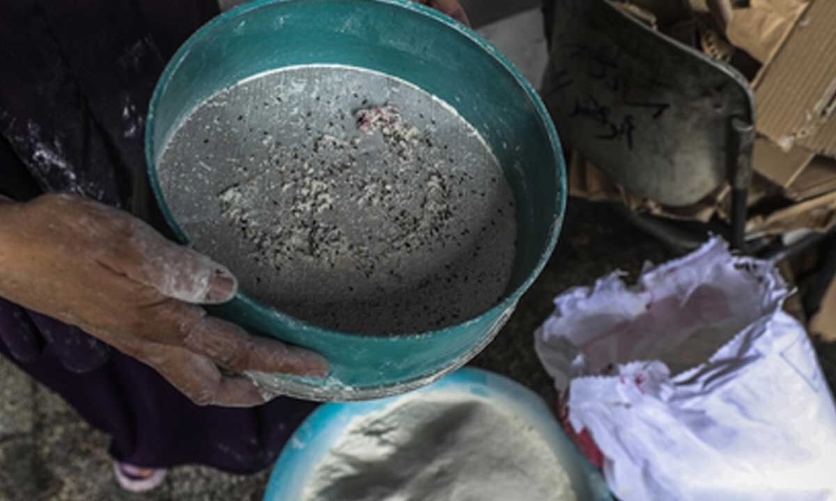 Flour supplies in Gaza depleted: UN agency