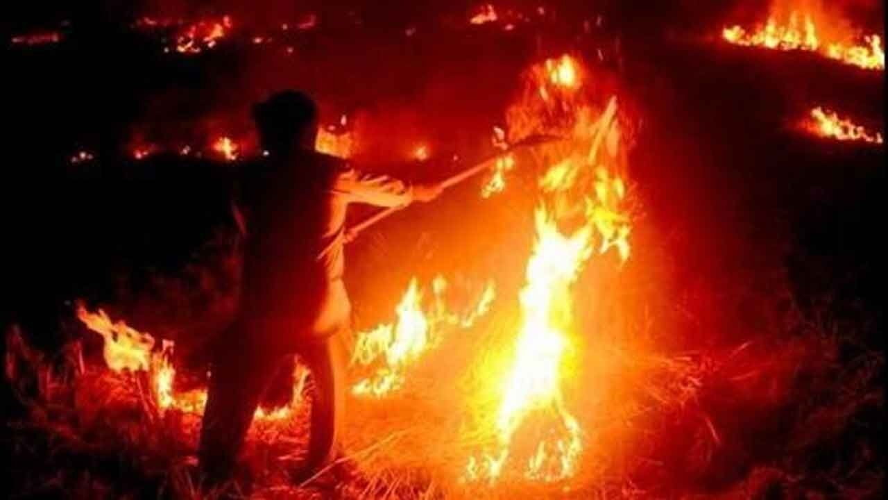 Stubble burning: Farmers to lose govt benefits, MSP