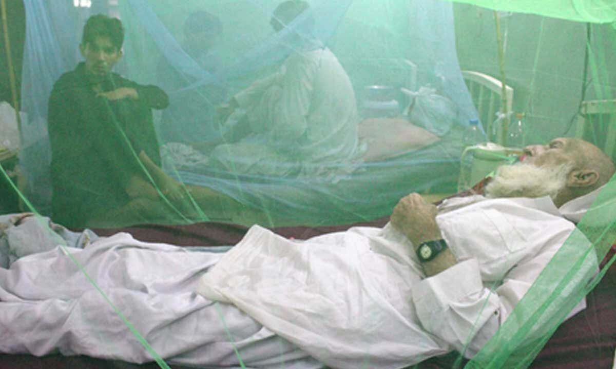 Patients in despair as doctors protest against govt in Pakistan's Rawalpindi