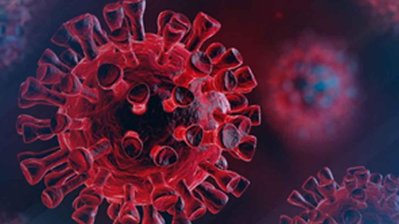 Study finds long Covid biomarkers in blood linked to respiratory problems