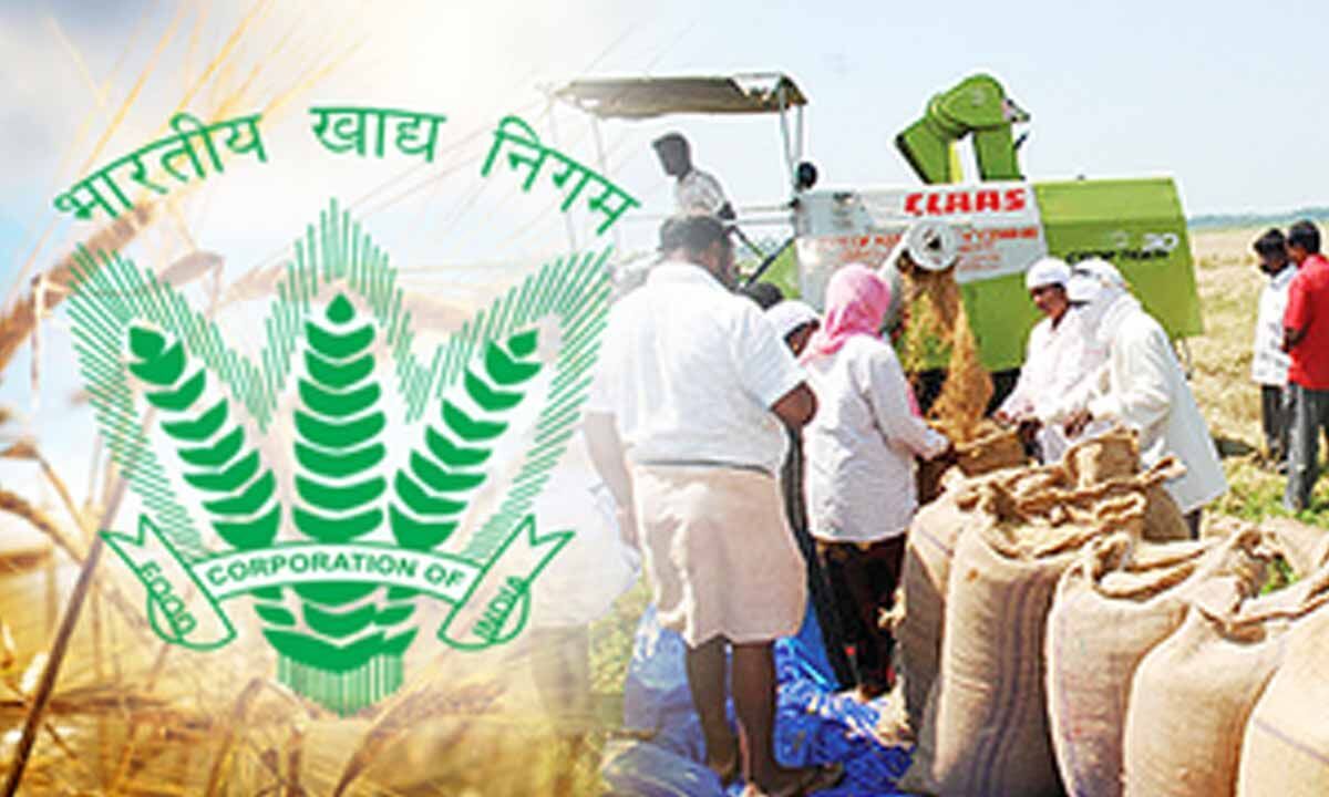 Centre to launch Depot Darpan portal on May 20 to ensure food storage quality