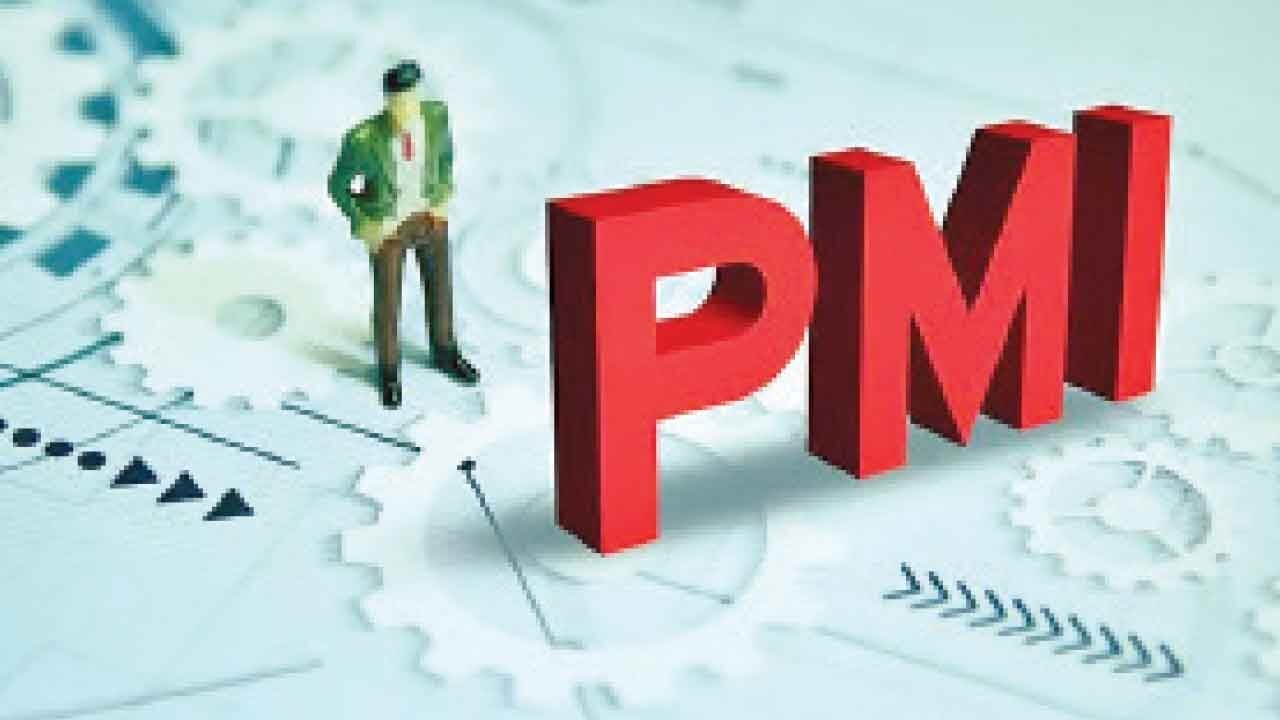 Manufacturing PMI stays in healthy zone