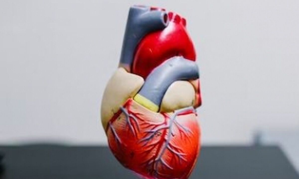 Unhealthy lifestyles may be ageing your heart too fast