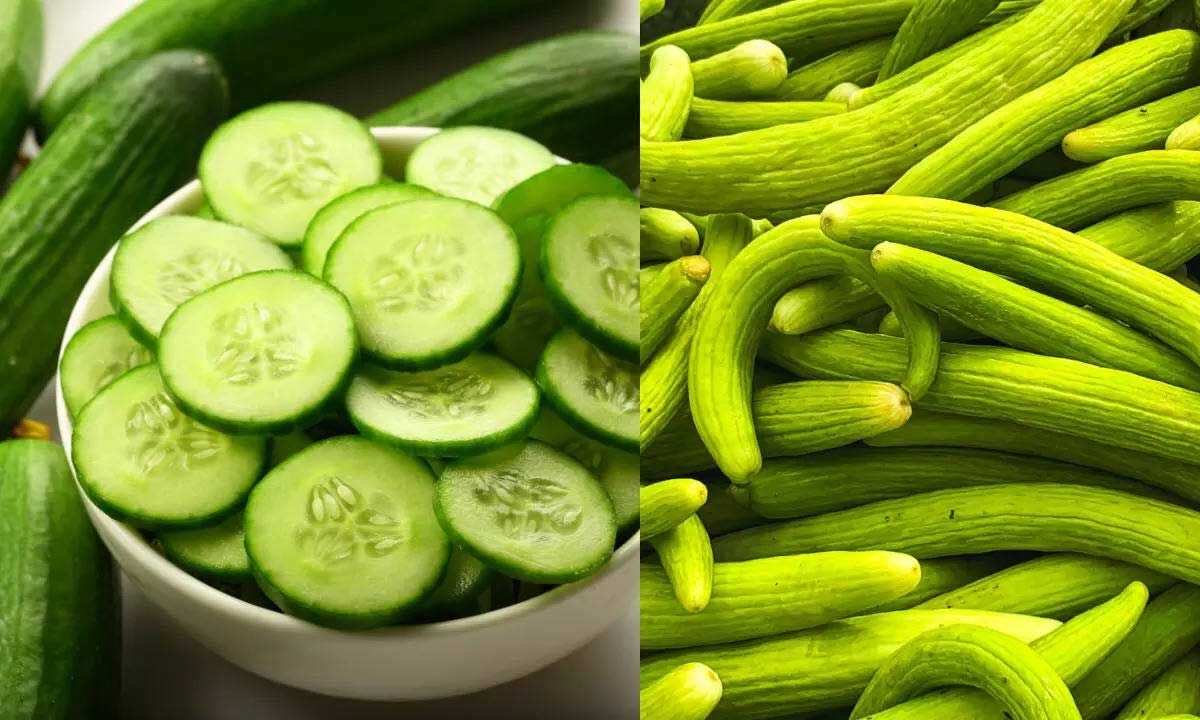 Kheera vs Kakdi: Which Superfood Is Healthier and More Hydrating in Summer?
