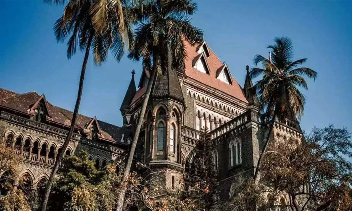 Bombay High Court Takes Suo Motu Action On India's 3.5-Year Adoption Waiting Period