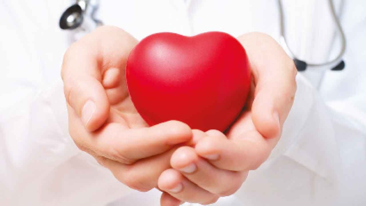 Heart has sweet taste receptors, can sense artificial sweeteners: Study
