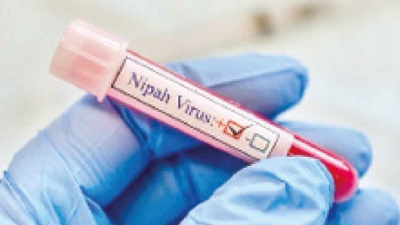Kerala woman tests positive for Nipah