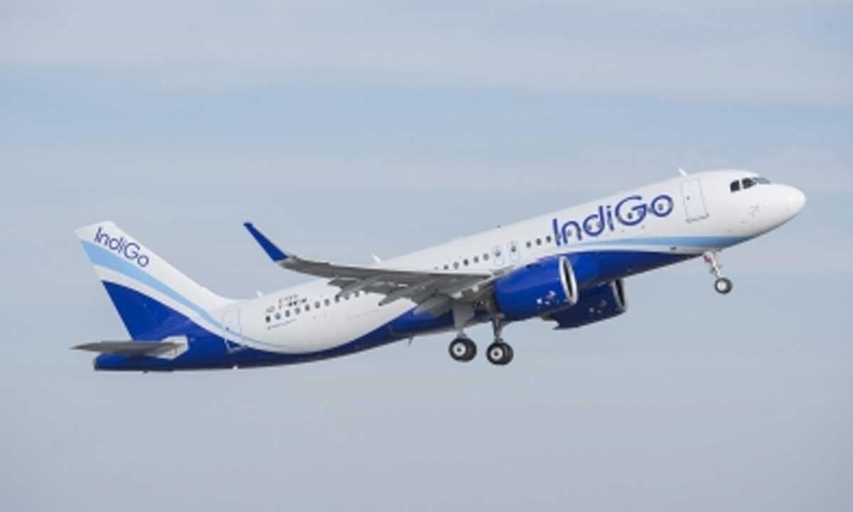 Govt unlikely to renew IndiGo pact with Turkish Airlines