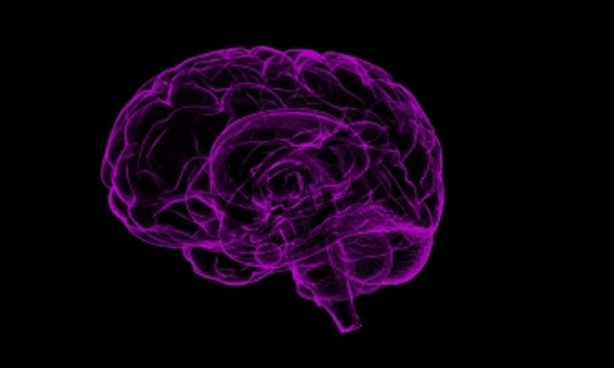 Scientists find molecule that blocks brain cell death in Parkinson's, Alzheimer's