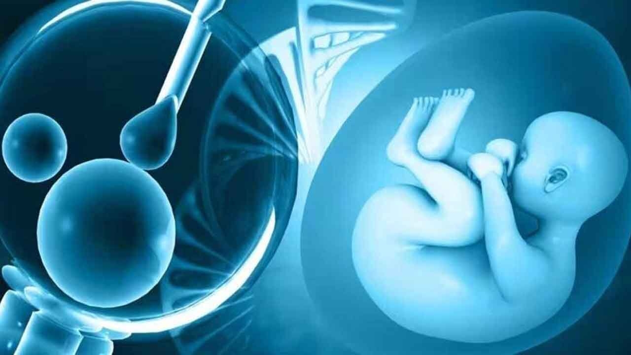 Swab test breakthrough could revolutionise IVF success rates: Swedish scientists lead the way
