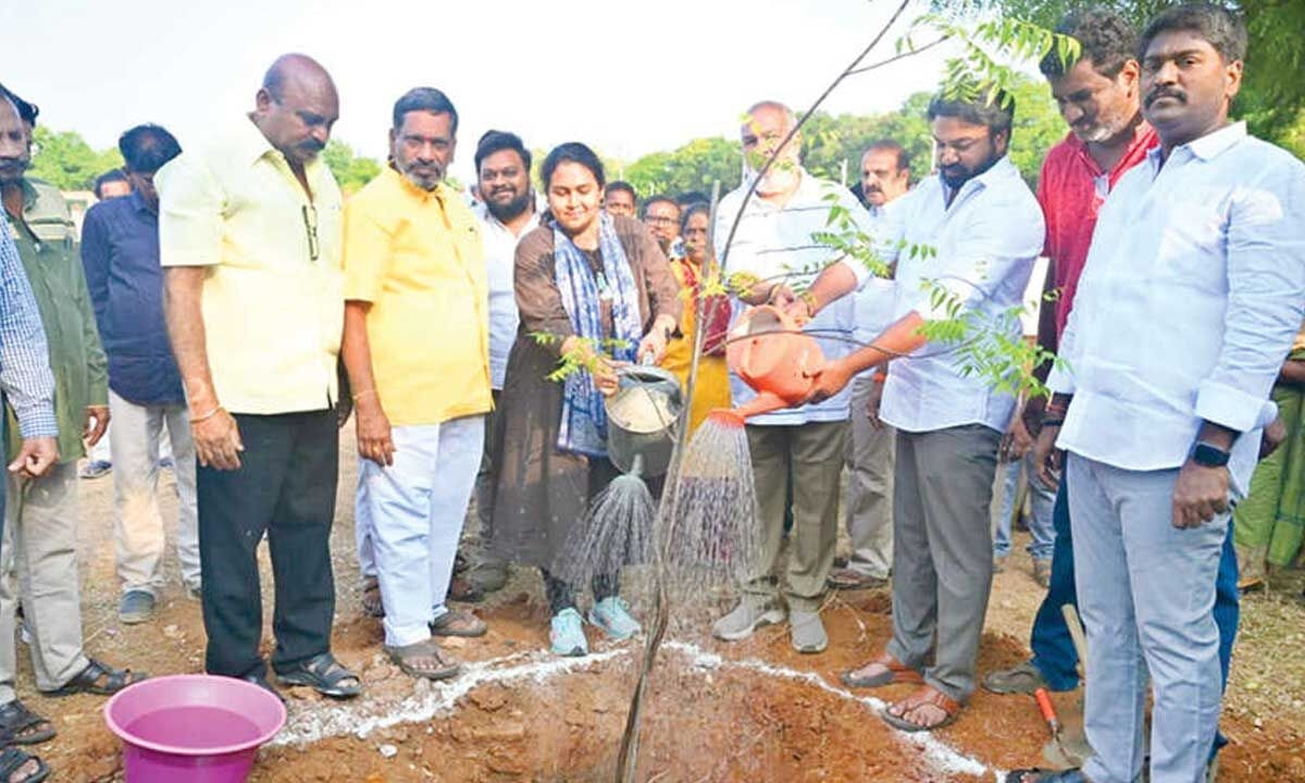 Plantation drive taken up during ‘Beat the heat' prog