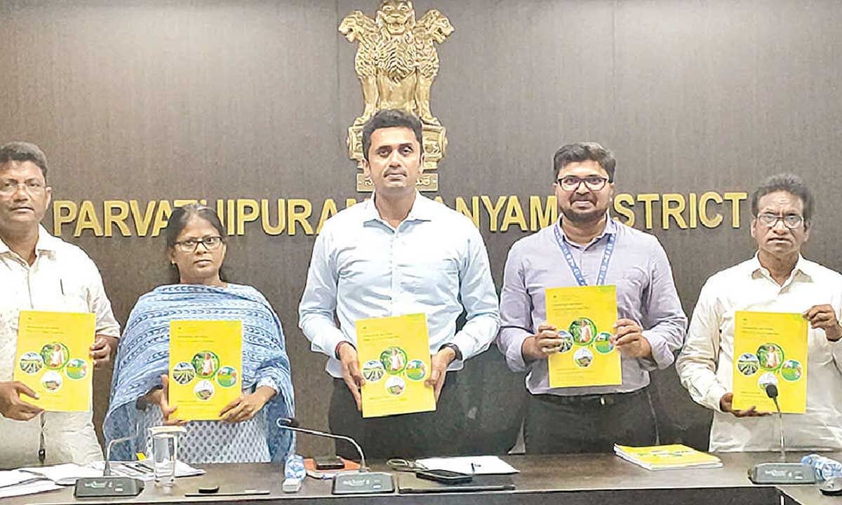 Collector unveils Rs 4,215 cr credit plan