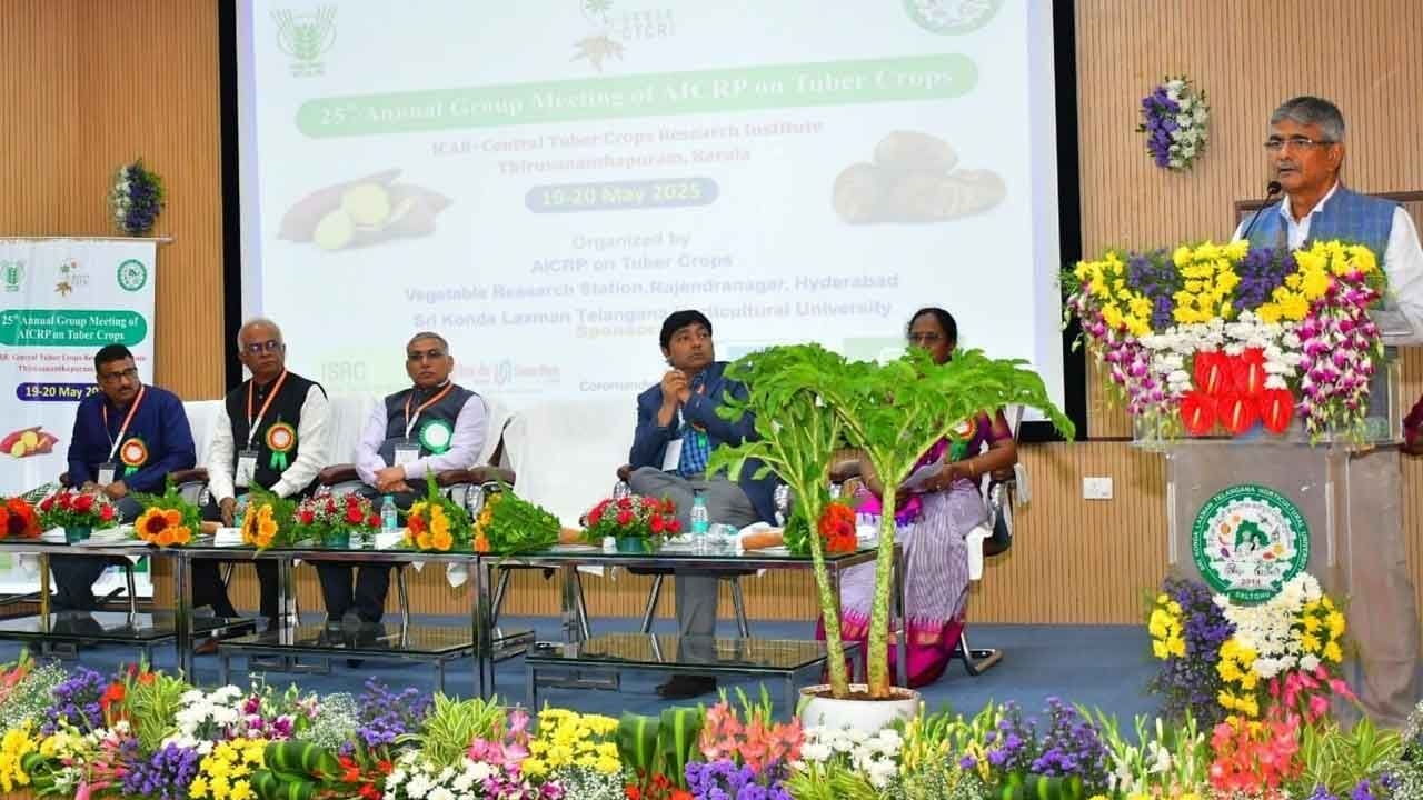 National nutritional security possible with tuber crops
