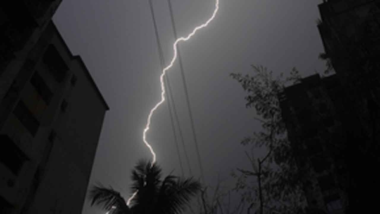 Over 40 sheep, goats killed in lightning strike in J&K's Ganderbal
