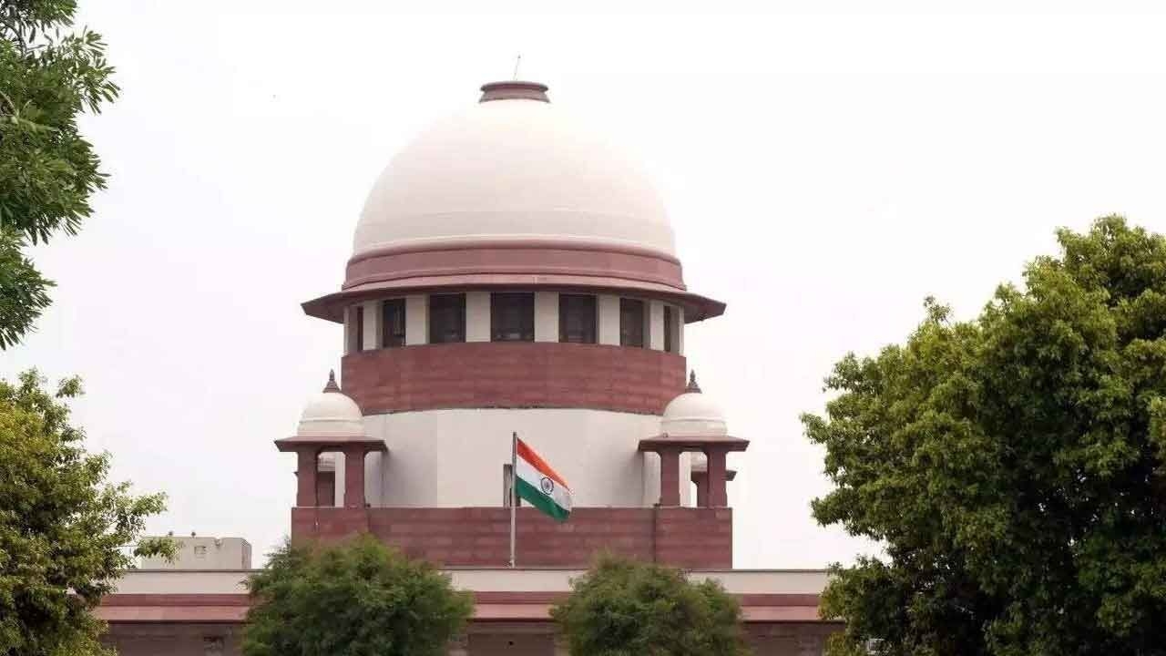 Make strong case for interim relief: SC