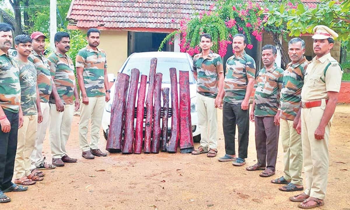 Red sandalwood seized near Gollapalli