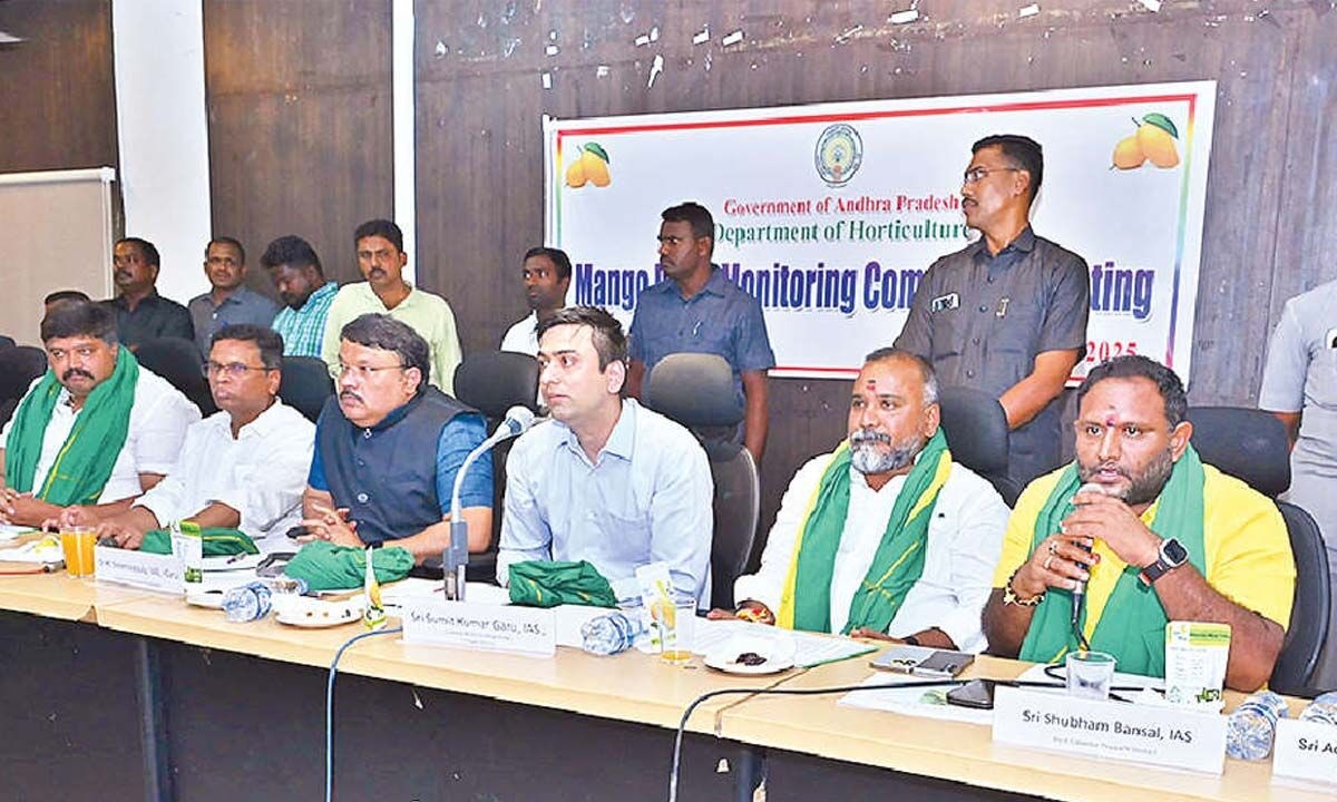 Efforts underway to set up Mango Board in Chittoor: Prasada Rao