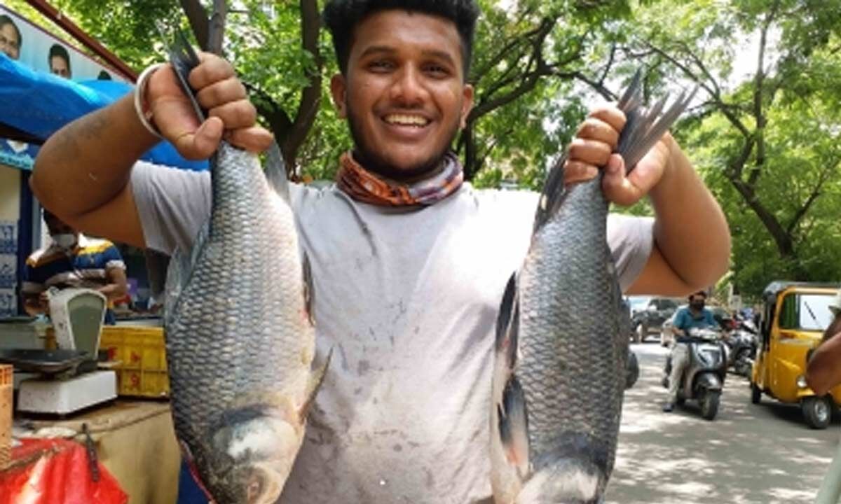 Drones to soon transport fish in difficult terrains: Centre