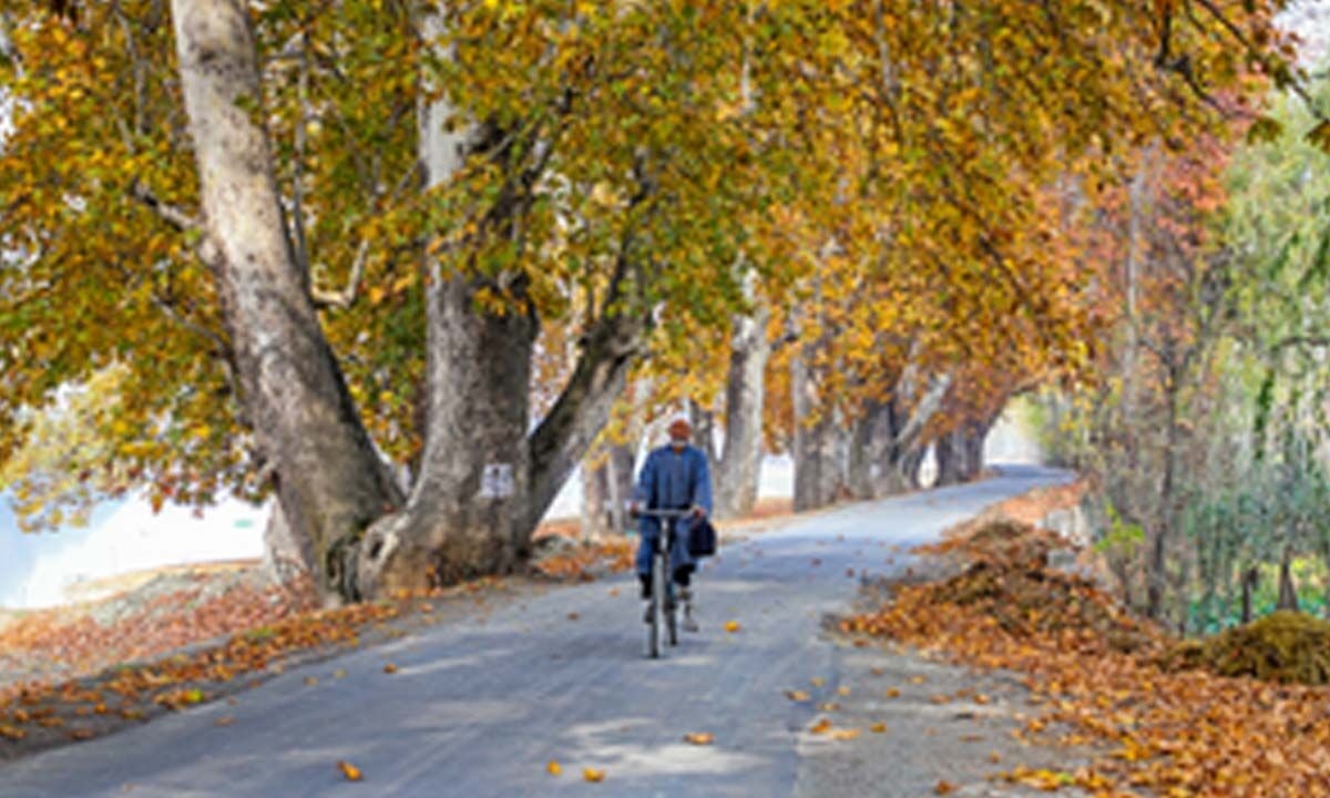 Daylight can boost immune system's ability to ward off infections: Study