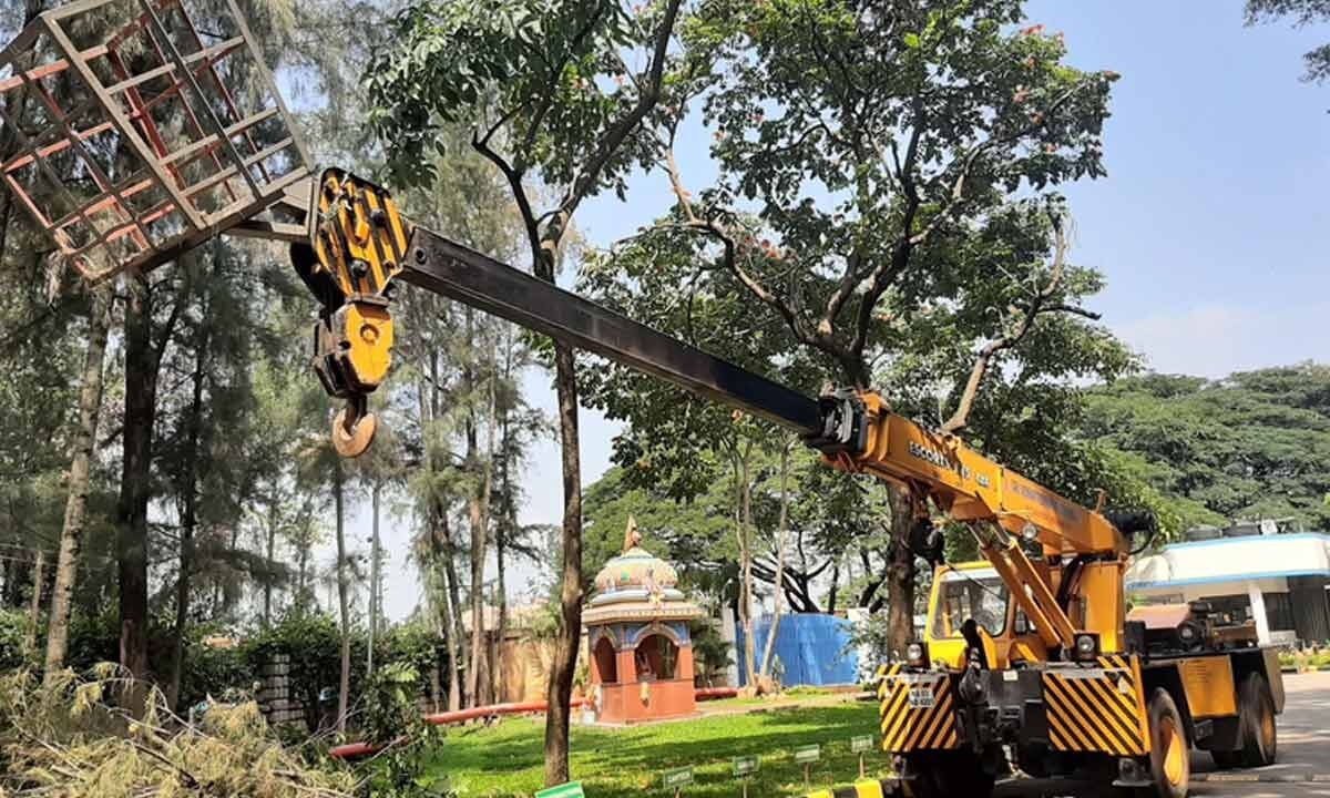 Forest Minister steps in to save forest, fauna at Jnanabharati campus