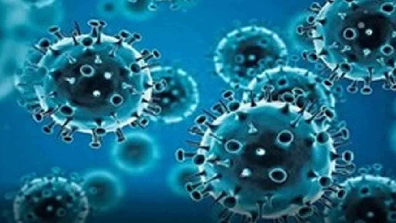 COVID-19 Cases Rise in Karnataka, School Reopening May Be Delayed