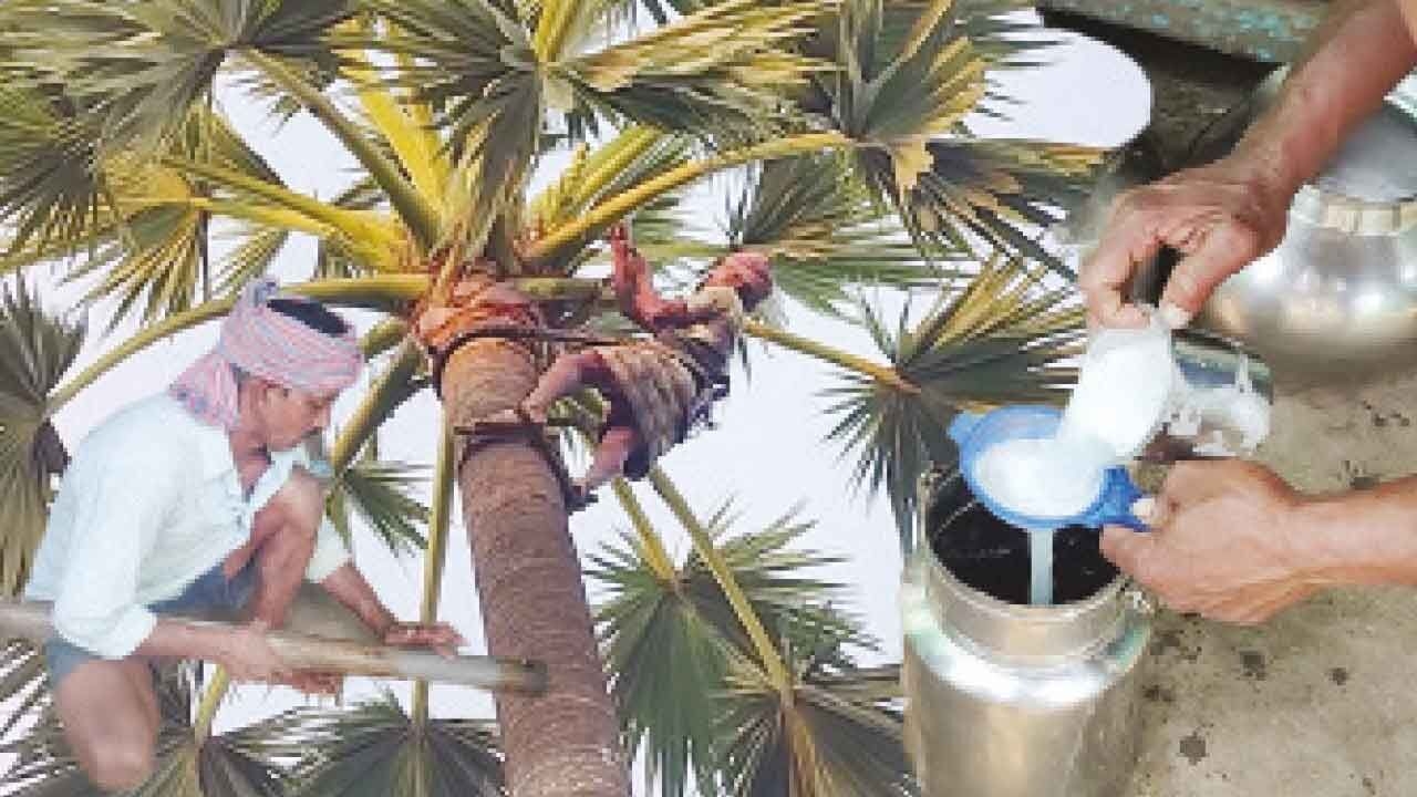 Swig super drink ‘Neera' with gusto to beat the summer heat