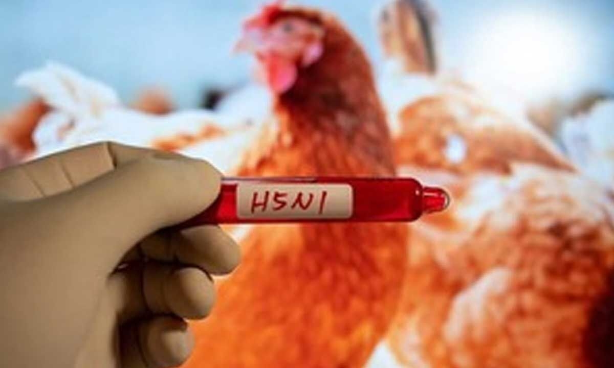 Cambodia records fourth death of H5N1 bird flu in 2025