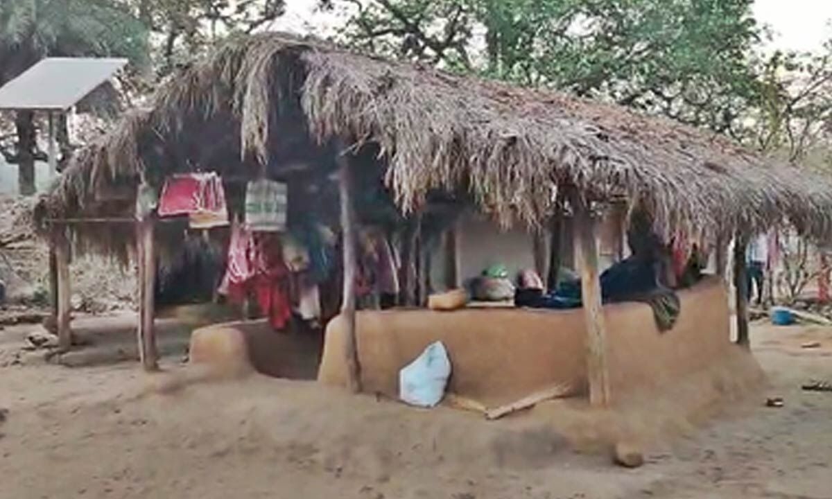 Niyad Nellanar scheme brings lasting changes in Chhattisgarh's Chilkapalli village